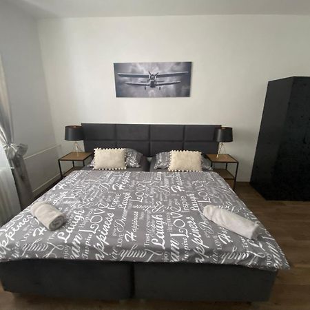 Cerna Ruze - Apartman 3 Plzeň Dış mekan fotoğraf