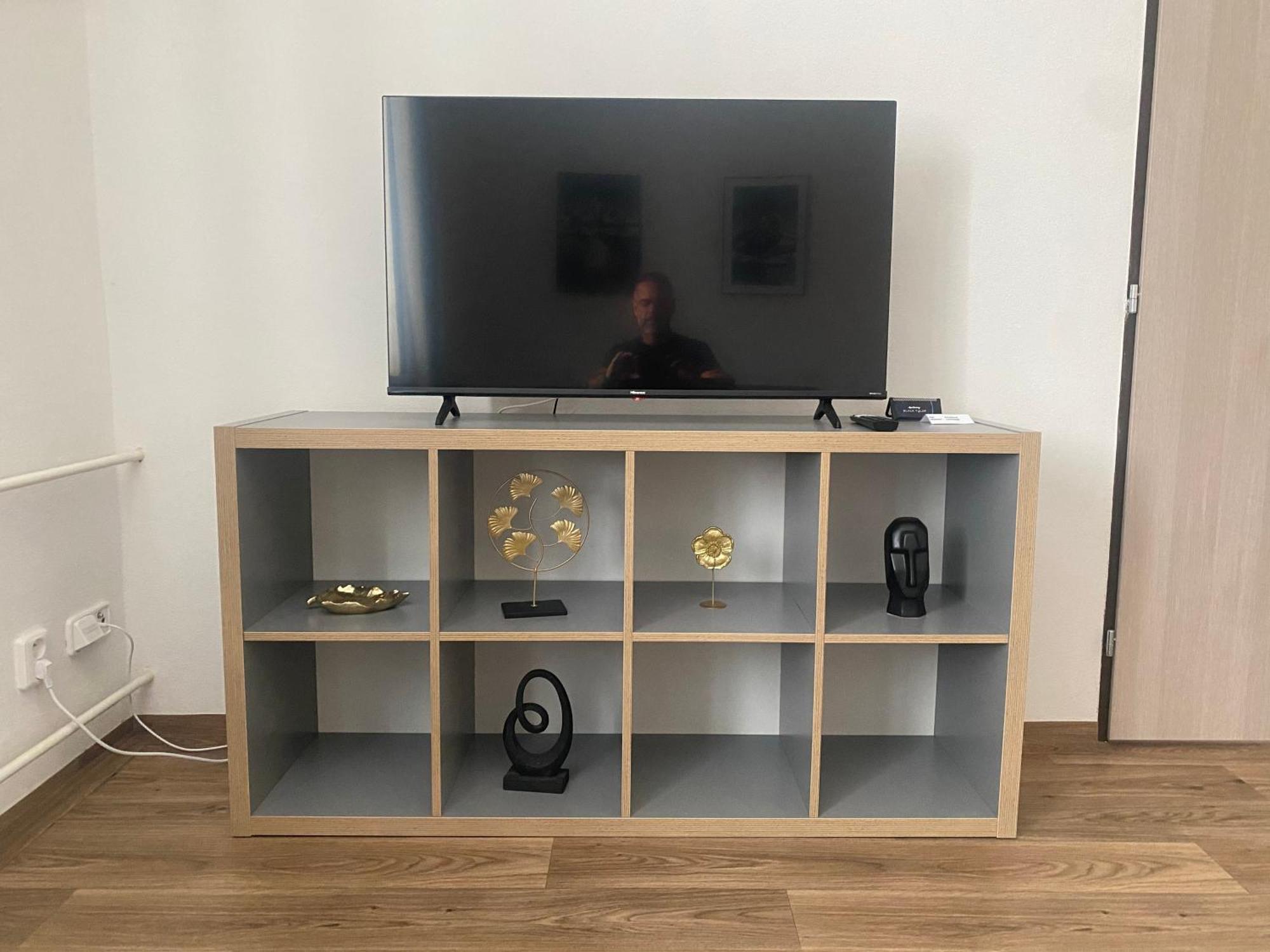 Cerna Ruze - Apartman 3 Plzeň Dış mekan fotoğraf